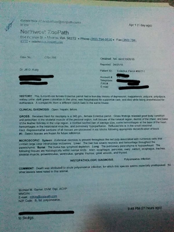 What ever happened with the bird autopsy? GBCN